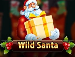 Wild Santa screenshot